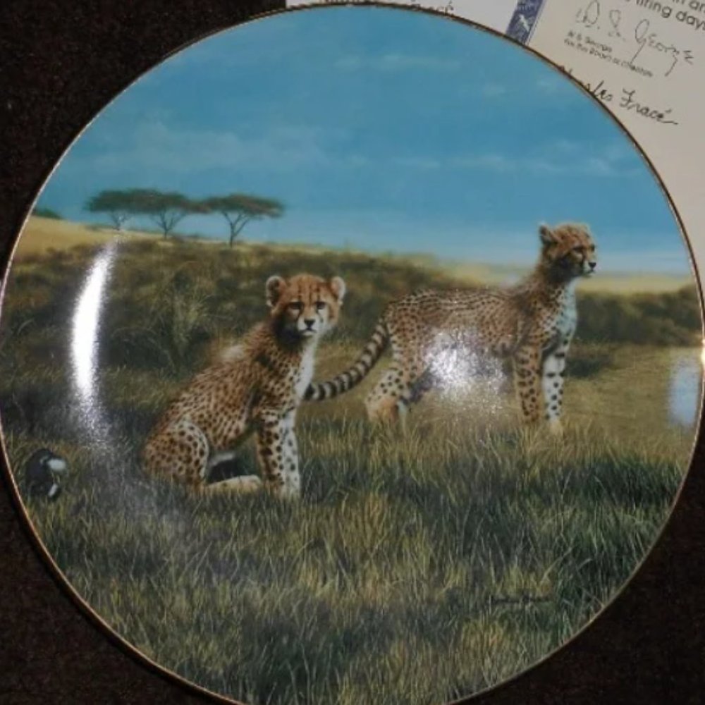 W S George Fine China collectible plate. RECESS